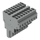 Wago Contact - Connecteur femelle 2C, Avec détrompeurs, 8 pôles /'R'=4 mm²