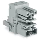 Wago Contact - Distributeur « h » 2 pôles Cod. B, gris