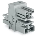 Wago Contact - Distributeur « h » 2 pôles Cod. B, gris