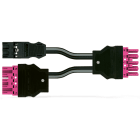 Wago Contact - Cordon Y précâblé Eca 2 x connecteur mâle/connecteur femelle