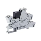 Wago Contact - SSR DC 24V