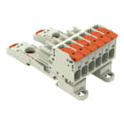 Wago Contact - Connecteur femelle pour 1 conducteur Levier Push-in CAGE CLAMP®, gris clair