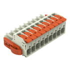 Wago Contact - Connecteur femelle pour 1 conducteur Levier Push-in CAGE CLAMP®, gris clair