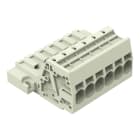 Wago Contact - Connecteur mâle pour 1 conducteur Push-in CAGE CLAMP®, gris clair