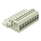 Wago Contact - Connecteur mâle pour 1 conducteur Push-in CAGE CLAMP®, gris clair