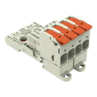 Wago Contact - Connecteur femelle pour 1 conducteur Levier Push-in CAGE CLAMP®, gris clair