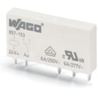 Wago Contact - REL-E DC 12V