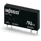 Wago Contact - RELAIS STATIQUE 24VDC 100mA, BIPO