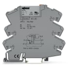 Wago Contact - Module avec relais miniature enfichable 48 V DC - 1 RT - 5 A