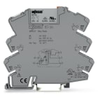 Wago Contact - Module avec relais miniature enfichable 24 V AC/DC - 1 RT - Contacts dorés