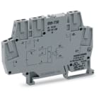Wago Contact - OPTO 24 V DC, gris