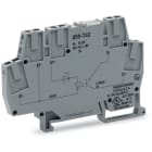 Wago Contact - OPTO 24 V DC, gris