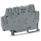 Wago Contact - Borne avec optocoupleur 12..48 V DC / 3..53 V DC - 4 A - 2 fils