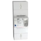 Michaud - Disjoncteur de branchement BIPO 45A sélectif - 6930061