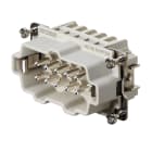Weidmüller - HDC HE 10 MP EXI - CIE Connecteurs industriels étanches