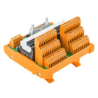 Weidmüller - Interface relais 24V DC 1CO, 16 voies, raccordement à ressort