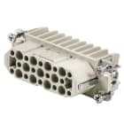Weidmüller - HDC HD 25 FC - CIE Connecteurs industriels étanches - Gamme RockStar®