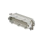 Weidmüller - HDC HE 24 MT - CIE Connecteurs industriels étanches - Gamme RockStar®