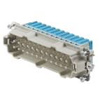 Weidmüller - HDC HE 24 N MQT BL - CIE Connecteurs industriels étanches - Gamme RockStar®