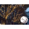 Vignette Photo produit ambiance 2
