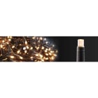 Blachere - Rideau JOYLIGHT® led+ -230V-2m x 3m 360 led blanc chaud