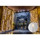 Blachere - Rideau JOYLIGHT® led+ -230V-2m x 3m 360 led blanc chaud