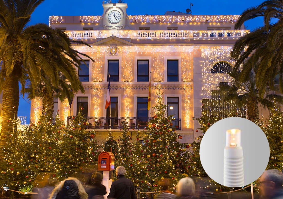 Blachere - Rideau led+ -230V-2m x 7m 750 led blanc chaud