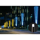 Blachere - Rideau led+ -230V-2m x 5m 540 led blanc pur