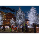 Blachere - Guirlande SPARK LIGHT®led+ flash-20m 108 led blanc pur 52 slow flash blanc pur