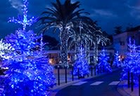 Blachere - Guirlande SPARK LIGHT®led+ flash-20m 108 led blanc pur et 52 slow flash blanc