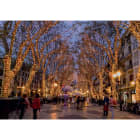 Blachere - Guirlande SPARK LIGHT®led+ flash-20m 108 led blanc chaud et 52 slow flash