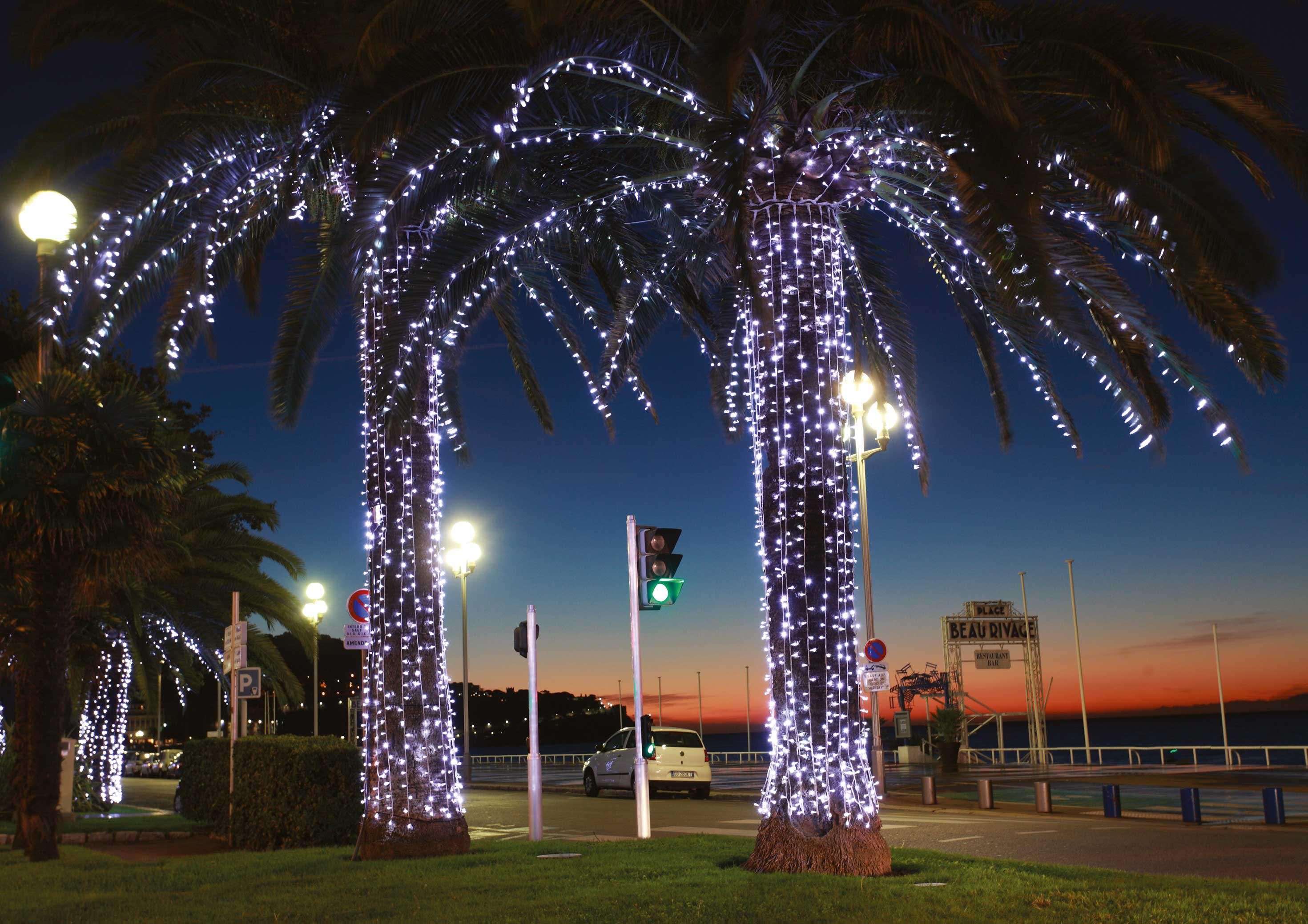 Blachere - Rideau JOYLIGHT® led+ et flash-230V-2x3m 240 led blanc pur et 120 slow flash