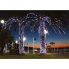 Blachere - Rideau JOYLIGHT® led+ et flash-230V-2x3m 240 led blanc pur et 120 slow flash