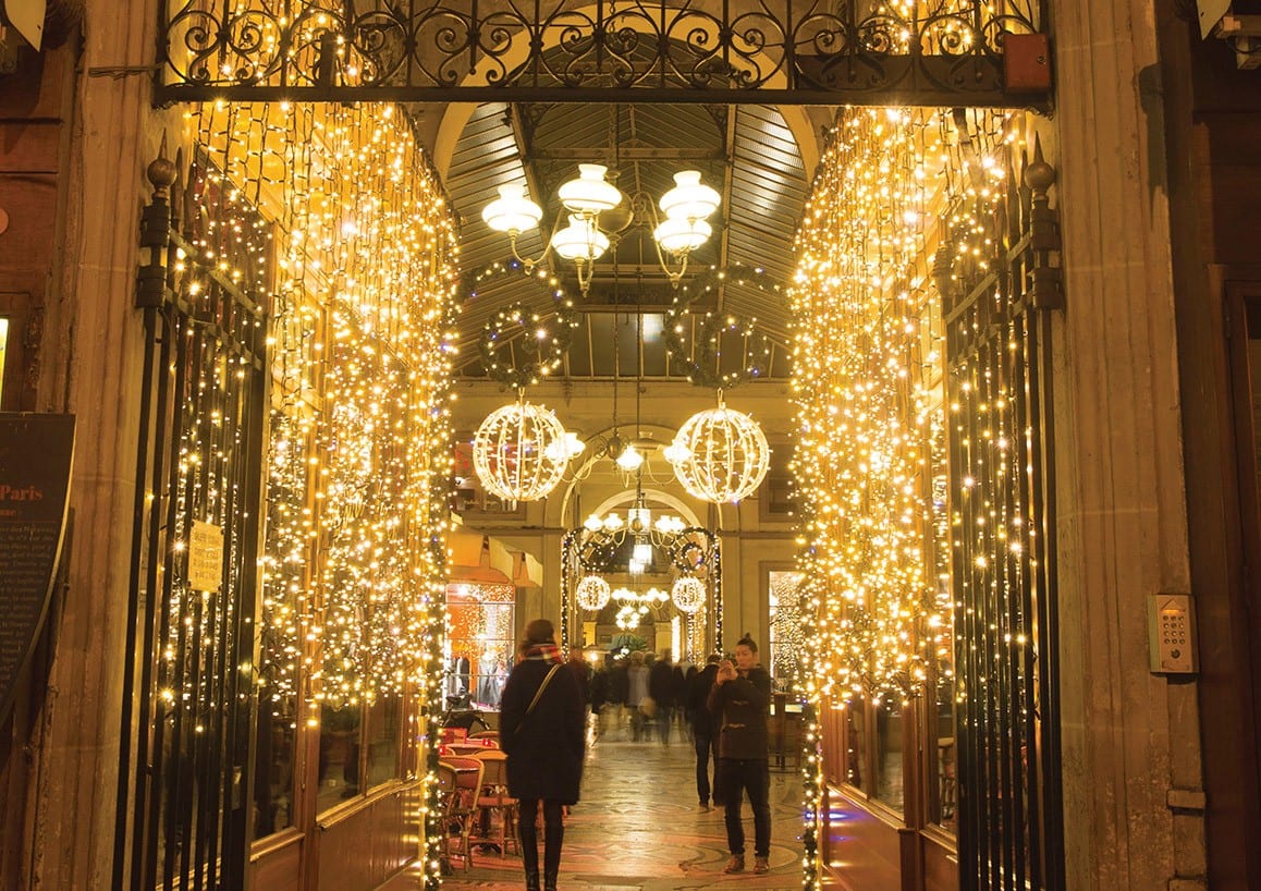 Blachere - Rideau JOYLIGHT® led+ et flash-230V-2x3m 240 led blanc chaud et 120 slow flash