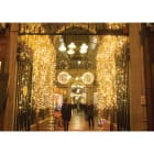 Blachere - Rideau JOYLIGHT® led+ et flash-230V-2x3m 240 led blanc chaud et 120 slow flash