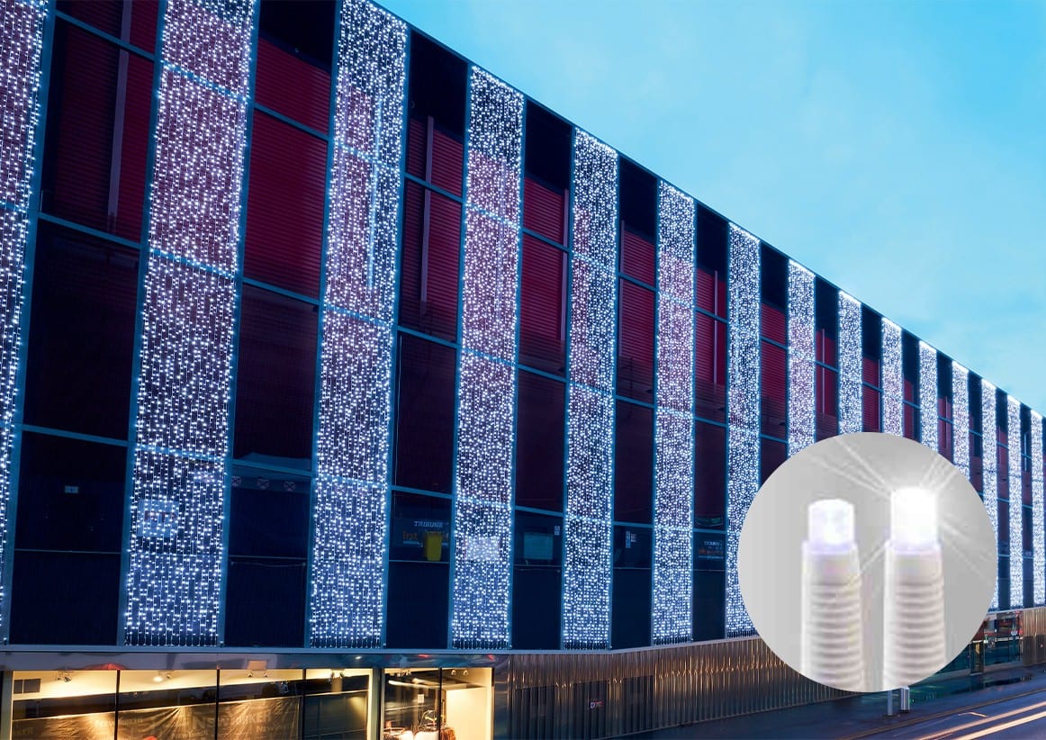 Blachere - Rideau JOYLIGHT® led+ et flash-230V-2x7m 510 led blanc pur et 240 slow flash