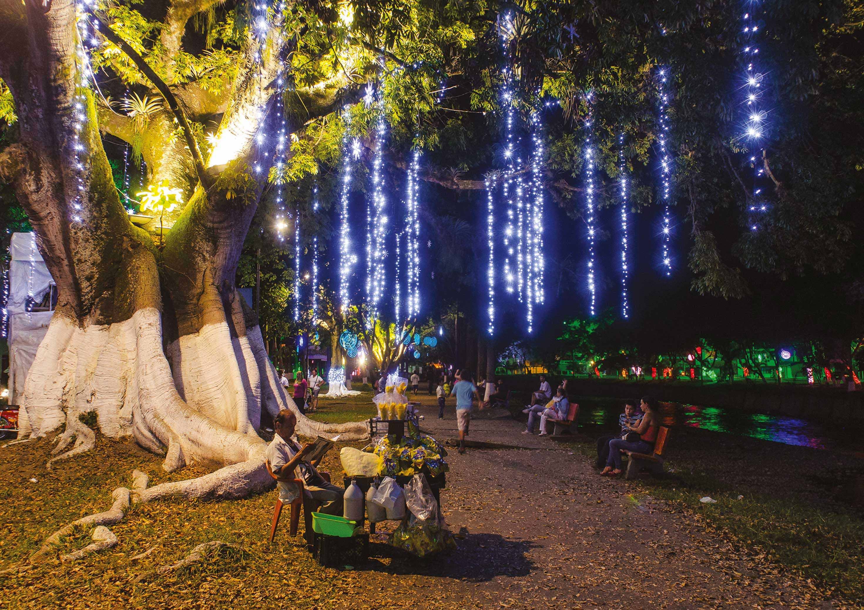 Blachere - Rideau led+ flash-230V-2x1,5m 150 led blanc pur et 60 slow flash