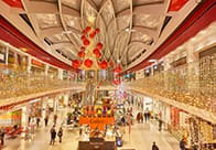 Blachere - Rideau led+ flash-230V-2x1,5m 150 led blanc chaud et 60 slow flash