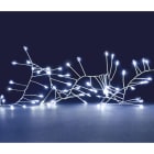 Blachere - GUIRLANDE MICRO LED GRAPPE - 5m