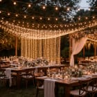 Blachere - Rideau JOYLIGHT® led-230V-2m x 3m 540 led blanc pur -18 descentes-fixe