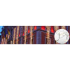 Blachere - Rideau JOYLIGHT® led-230V-2m x 1,5m 342 led blanc chaud -18 descentes-fixe