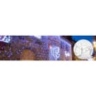 Blachere - Rideau JOYLIGHT® led SlowGlow-230V-2mx5 210 led blanc pur avec effet SlowGlow