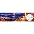 Blachere - STALACTIT LIGHT® led-4,5m 240 led blanc chaud - fixe - câble caoutchouc blanc