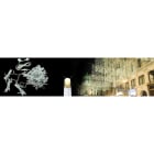 Blachere - Rideau LED Blanc chaud-230V-2x1,5m 160 led blanc chaud-fixe-8 descentes de 1,5m