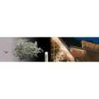 Blachere - Stalactite LED Blc chd-4,5m-câble blanc 120 led blanc chaud-fixe