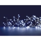 Blachere - Guirlande GRAPPE 800 MICRO LED Blanc pur -9m 24 - 8 fonctions mémoire