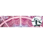 Blachere - Guirlande SPARK LIGHT flash led-20m 150 led rose + 50 flash blanc pur