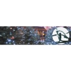 Blachere - Guirlande SPARK LIGHT flash led-230V-20m 90 led blanc pur + 30 flash blanc pur