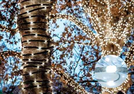 Blachere - Guirlande Microlight+ Pro Plafond-24V 1.20 x 21.6m - 720 Microlight+ Pro blanc