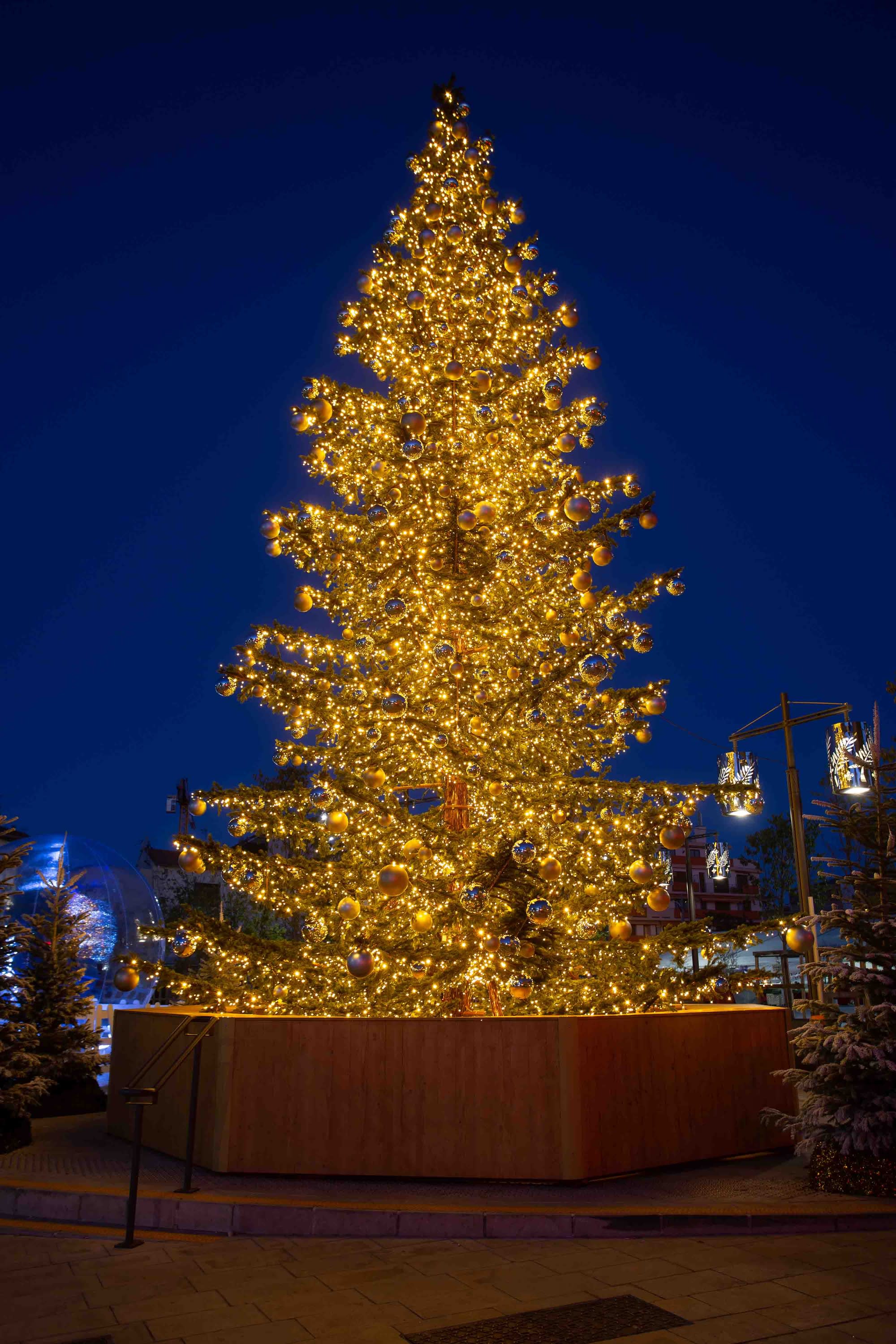 Blachere - Décor SAPIN NORDIKA NATUREL 5M- 2928 leds en blanc chaud  3D à poser au sol